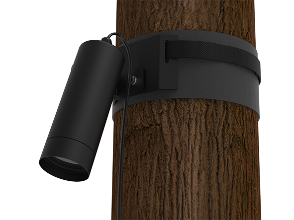 render suporte arvore