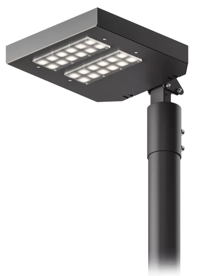 FOTO LP100W - Copia - Copia